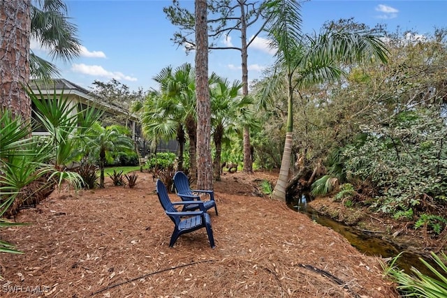 12147 Colliers Reserve Dr, Naples, FL 34110 - view of yard