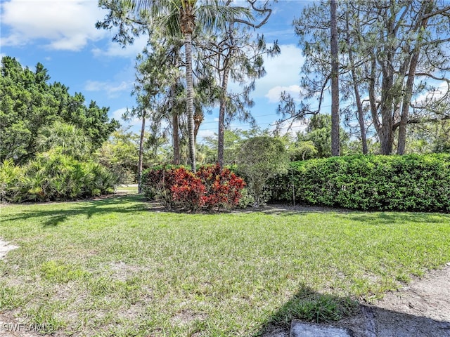 2902 Kings Lake Blvd Unit 2902, Naples, FL 34112 - photo 34