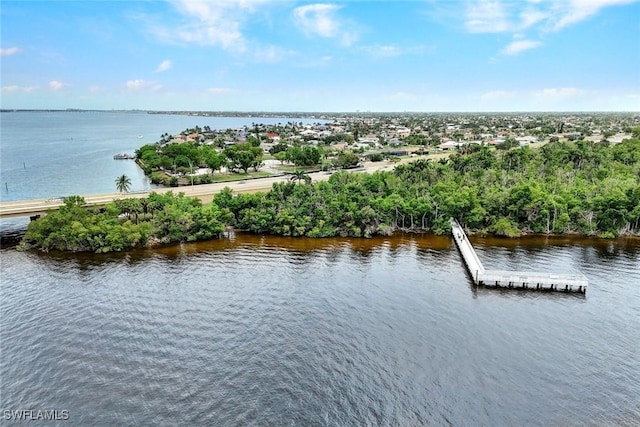 2118 SE 18th Ave, Cape Coral, FL 33990 - photo 41