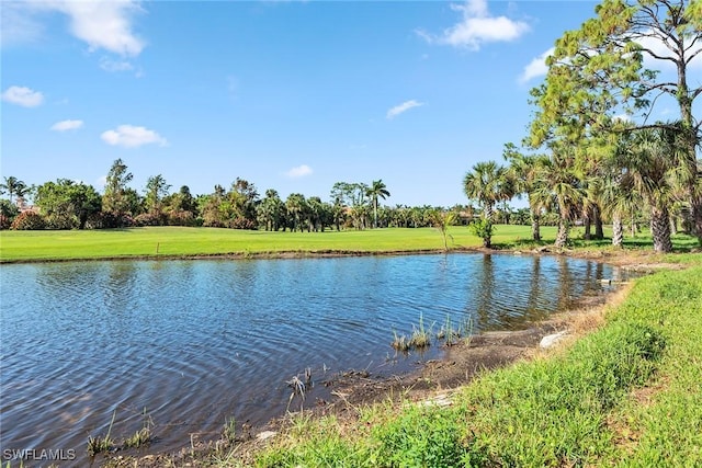 3746 Cotton Green Path Dr, Naples, FL 34114 - photo 30