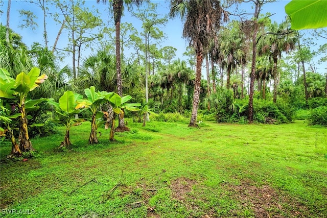 681 23rd St NW, Naples, FL 34120 - photo 4
