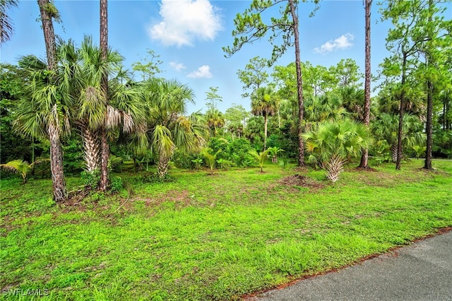 681 23rd St NW, Naples, FL 34120 - photo 37