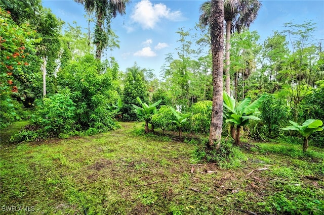 681 23rd St NW, Naples, FL 34120 - photo 40