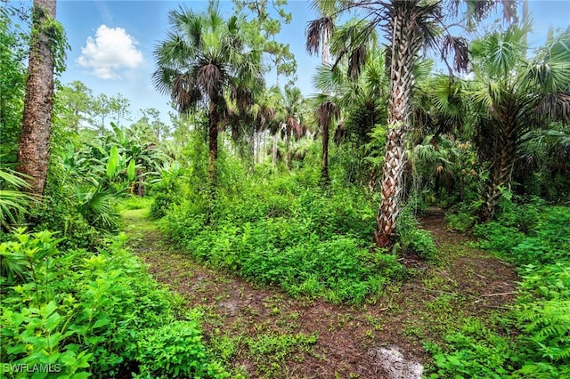 681 23rd St NW, Naples, FL 34120 - photo 28