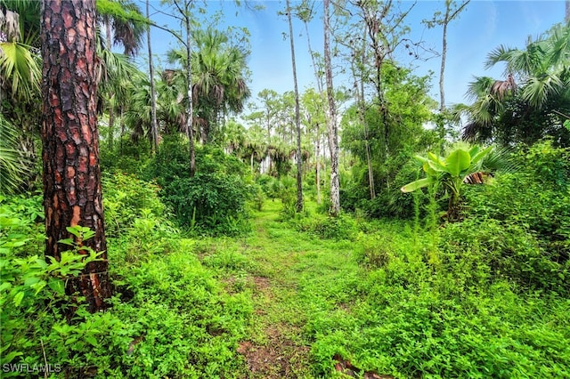 681 23rd St NW, Naples, FL 34120 - photo 31