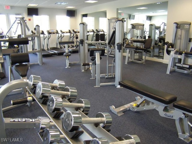 3881 Kens Way Unit 4301, Bonita Springs, FL 34134 - gym featuring healthy amount of natural light