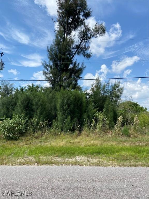 1824 SW Embers Ln, Cape Coral, FL 33991 - photo 1