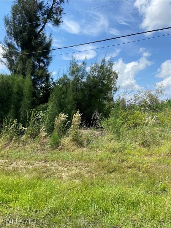 1824 SW Embers Ln, Cape Coral, FL 33991 - photo 5