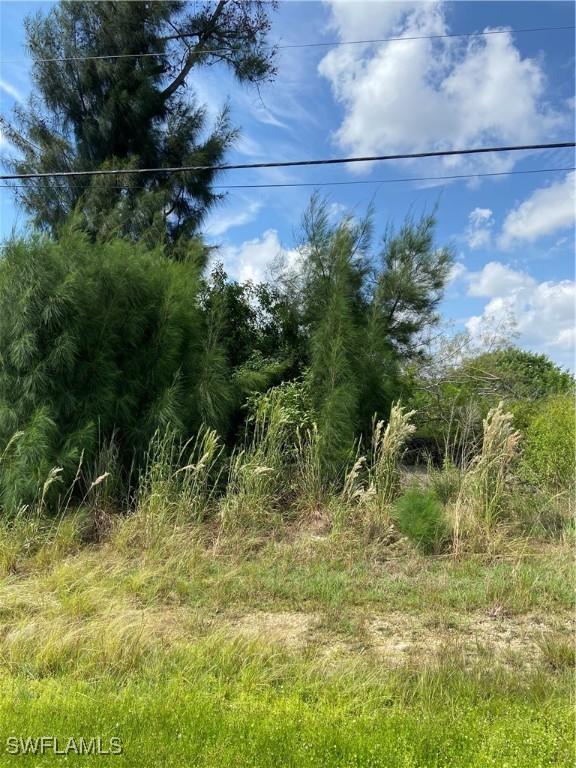 1824 SW Embers Ln, Cape Coral, FL 33991 - photo 4