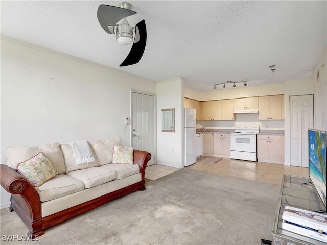 8687 River Homes Ln Unit 4202, Bonita Springs, FL 34135 - photo 13