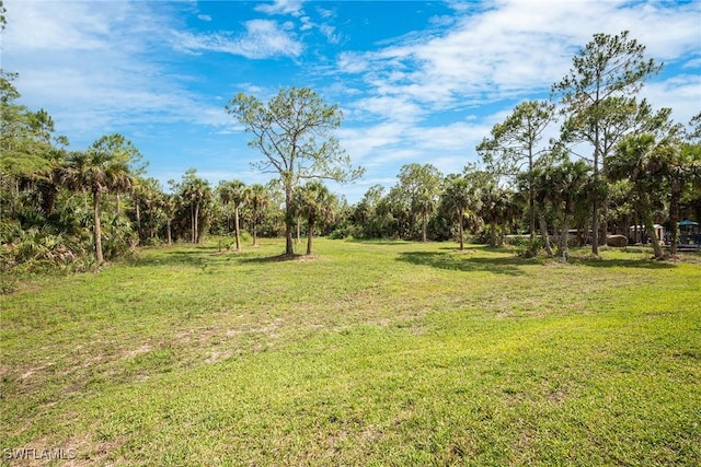 1640 Golden Gate Blvd W, Naples, FL 34117 - view of grassy yard