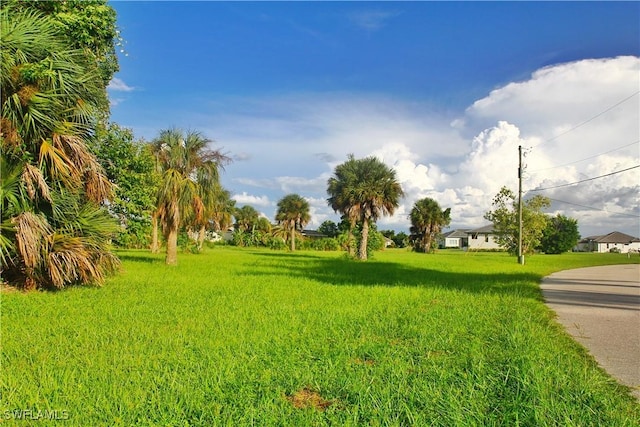 17256 Carroway Ln, Punta Gorda, FL 33955 - photo 8