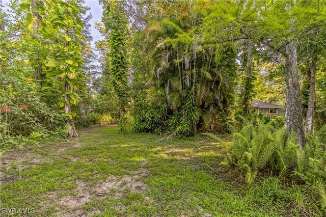 1440 14th Ave NE, Naples, FL 34120 - view of yard featuring a forest view