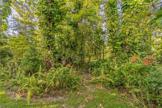 1440 14th Ave NE, Naples, FL 34120 - view of nature