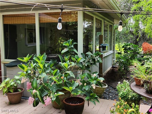 1440 14th Ave NE, Naples, FL 34120 - exterior space