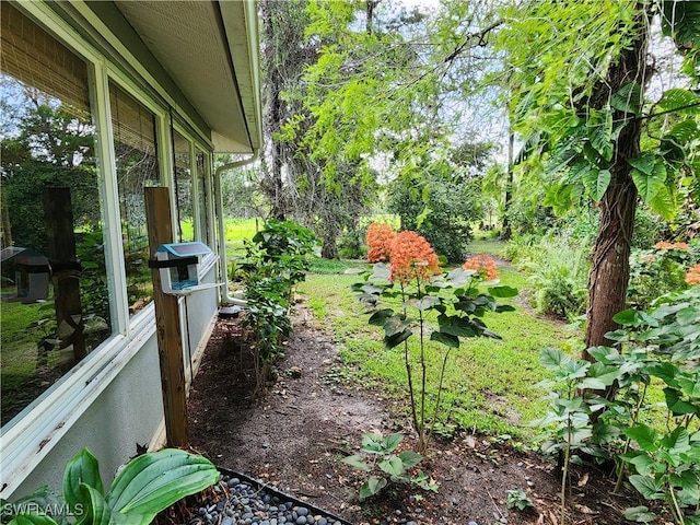 1440 14th Ave NE, Naples, FL 34120 - view of yard
