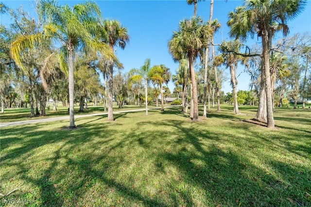 639 Rope Bend Dr, Labelle, FL 33935 - photo 11