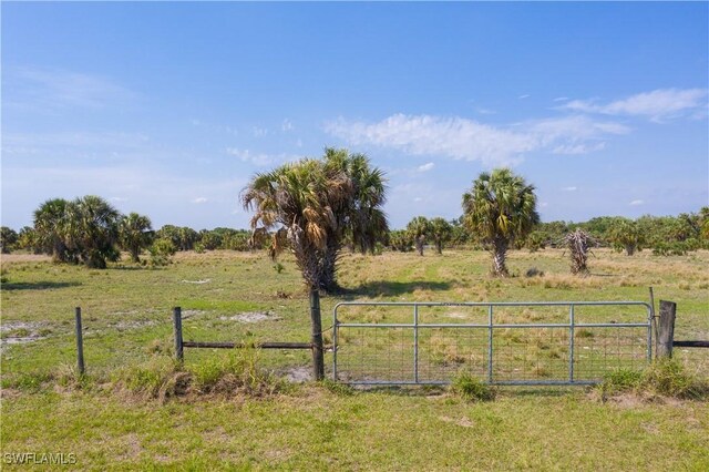 23631 Palm Beach Blvd, Alva, FL 33920 - photo 3