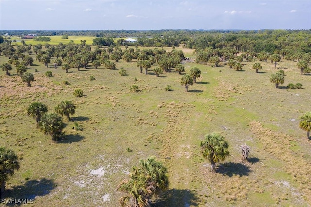23631 Palm Beach Blvd, Alva, FL 33920 - photo 4