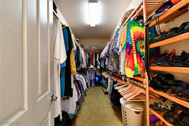 8871 Biella Ct, Estero, FL 33967 - walk in closet featuring carpet