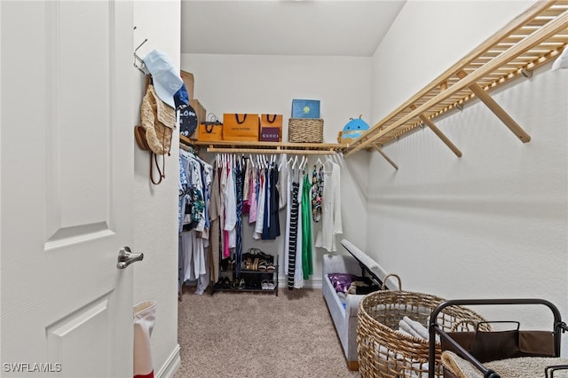 9114 Chula Vista Ln Unit 11901, Naples, FL 34113 - walk in closet with carpet