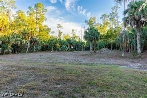 3430 27th Ave SW, Naples, FL 34117 - view of yard