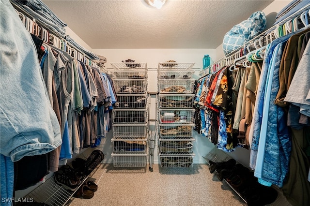 950 Moody Rd Unit 124, North Fort Myers, FL 33903 - walk in closet with carpet