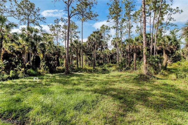 3320 41st Ave NE, Naples, FL 34120 - view of yard