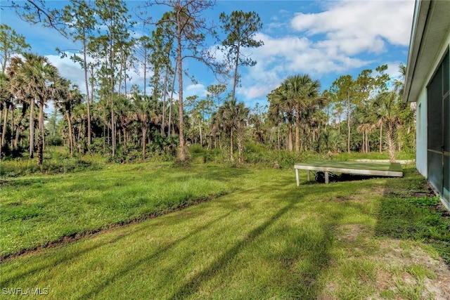 3320 41st Ave NE, Naples, FL 34120 - view of green lawn