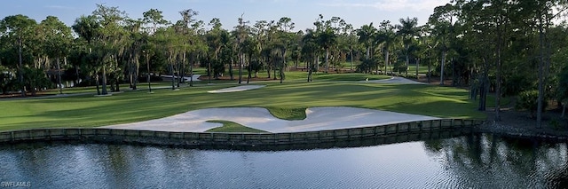 31 Grey Wing Pt, Naples, FL 34113 - photo 25