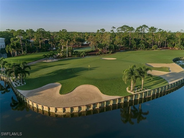 31 Grey Wing Pt, Naples, FL 34113 - photo 28