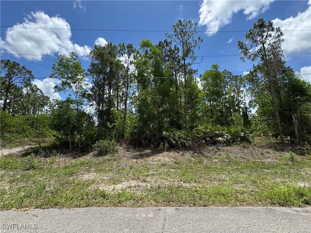 454 Jaipur Dr, Lehigh Acres, FL 33974
