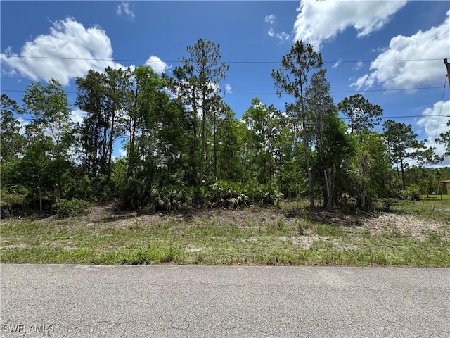 454 Jaipur Dr, Lehigh Acres, FL 33974