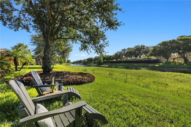 26341 Stonewall Ln, Bonita Springs, FL 34135 - photo 25
