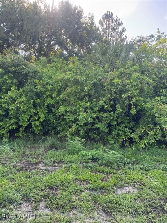 765 N Zambria St, Clewiston, FL 33440 - photo 3