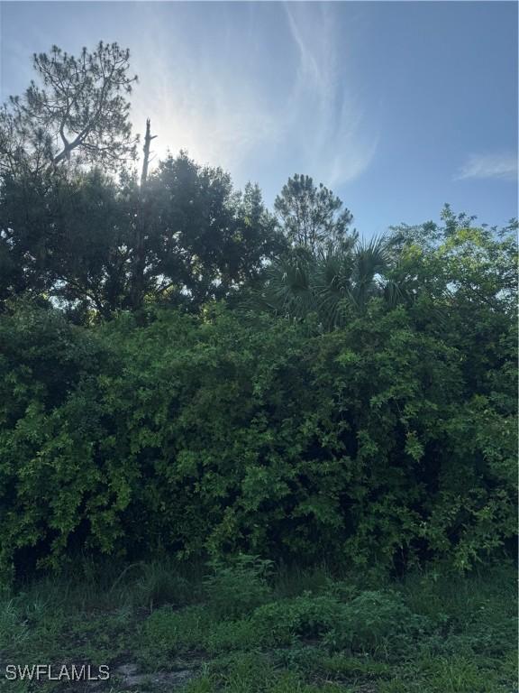 765 N Zambria St, Clewiston, FL 33440 - photo 4