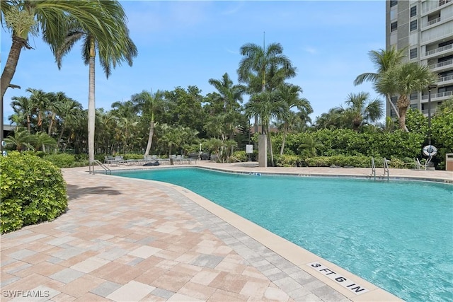 280 S Collier Blvd Unit 1505, Marco Island, FL 34145 - photo 19