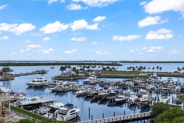 6021 Silver King Blvd Unit 302, Cape Coral, FL 33914 - water view with a marina and a dock