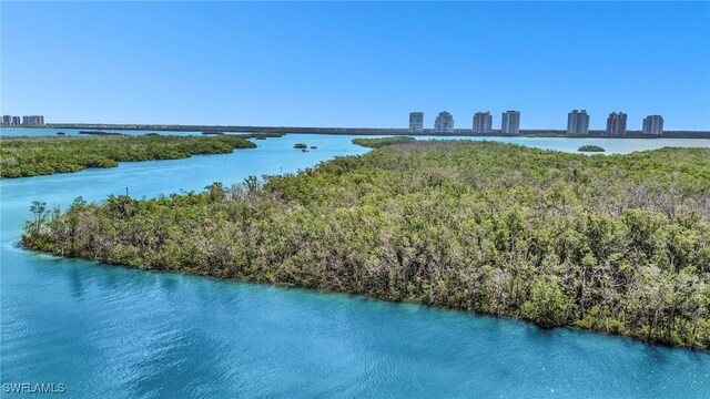 26235 Hickory Blvd Unit 9A, Bonita Springs, FL 34134 - water view with skyline