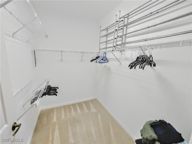1776 Concordia Lake Cir Unit 2902, Cape Coral, FL 33909 - spacious closet featuring light colored carpet