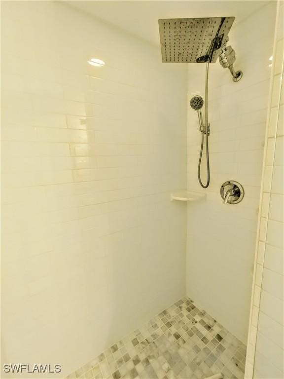 1776 Concordia Lake Cir Unit 2902, Cape Coral, FL 33909 - full bath with tiled shower