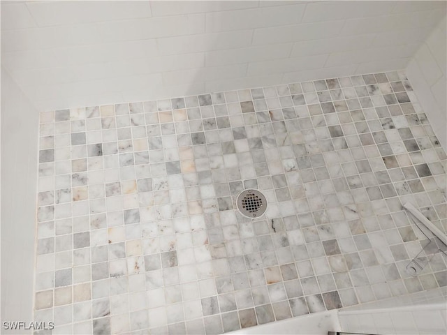 1776 Concordia Lake Cir Unit 2902, Cape Coral, FL 33909 - bathroom view of tiled shower
