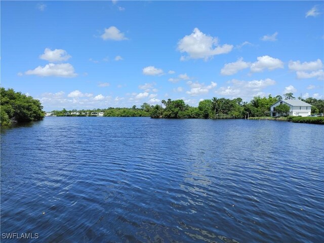 17091 Laurelin Ct, North Fort Myers, FL 33917 - photo 30