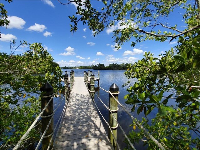 17091 Laurelin Ct, North Fort Myers, FL 33917 - photo 32