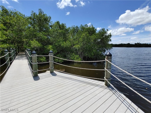 17091 Laurelin Ct, North Fort Myers, FL 33917 - photo 31