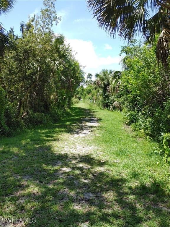 17091 Laurelin Ct, North Fort Myers, FL 33917 - view of grassy yard