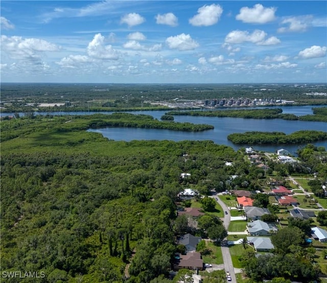17091 Laurelin Ct, North Fort Myers, FL 33917 - aerial view of a nearby body of water and a forest