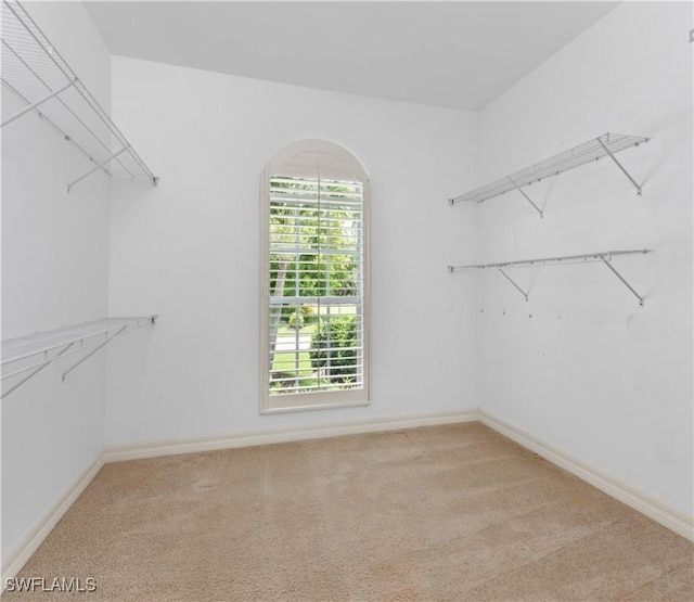 17091 Laurelin Ct, North Fort Myers, FL 33917 - walk in closet featuring light carpet and arched walkways