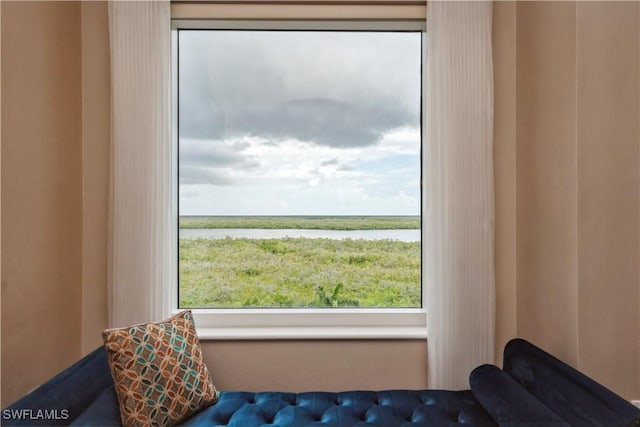 1050 Borghese Ln Unit 605, Naples, FL 34114 - living area with a water view