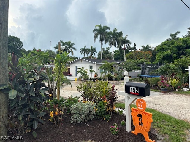 152 Prospect Ave, Fort Myers, FL 33905 - view of front facade featuring a trampoline